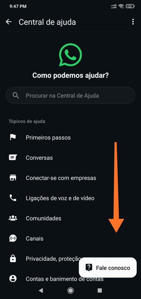 Suporte do WhatsApp 4
